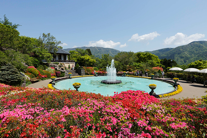 箱根強羅公園