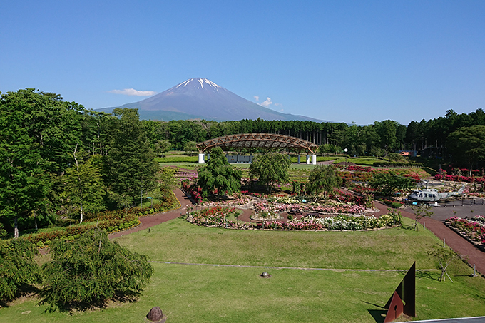 富士山樹空の森